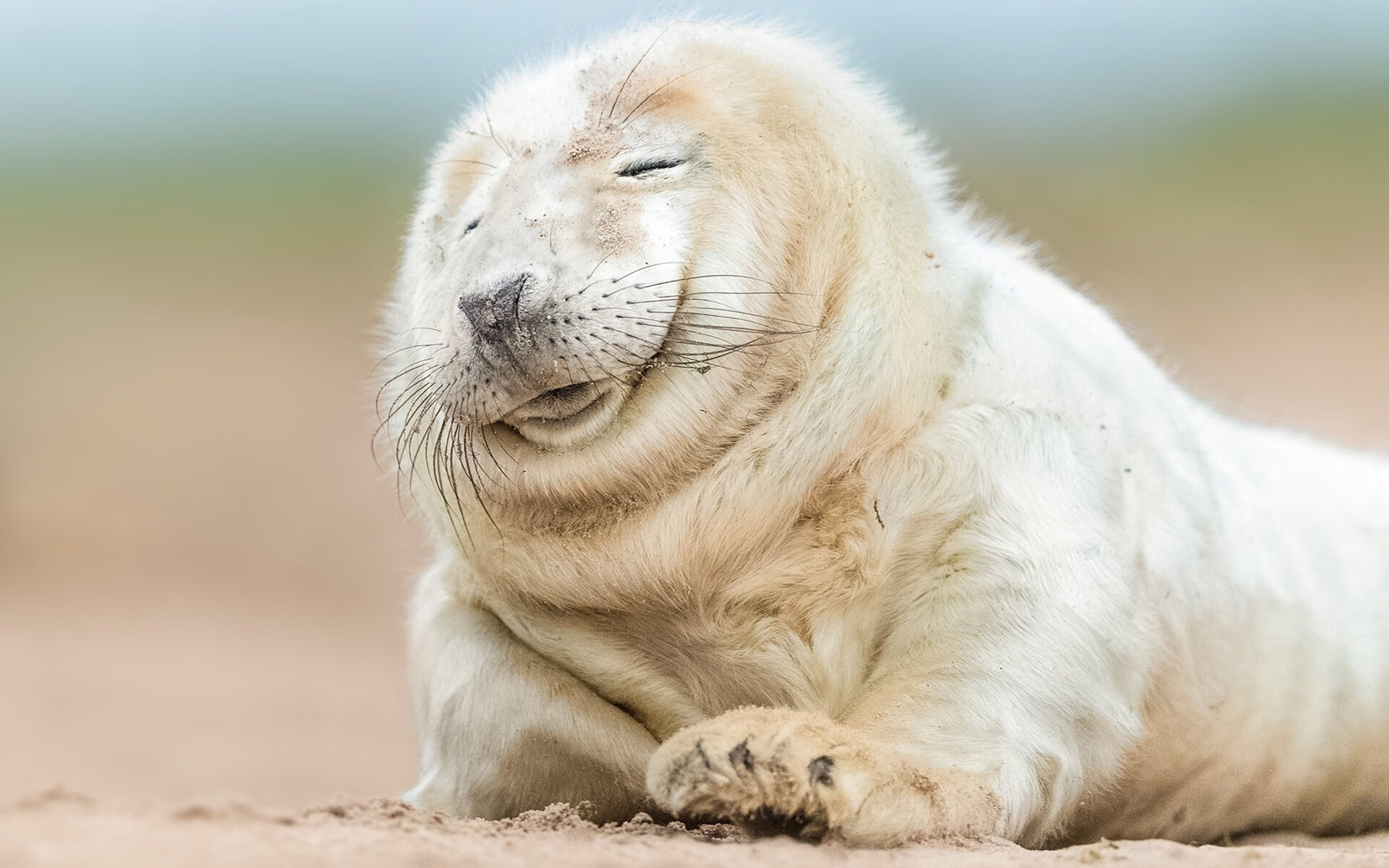 加维掌控比赛走势，土耳其与厄瓜多尔对决中的战术核心与胜负手