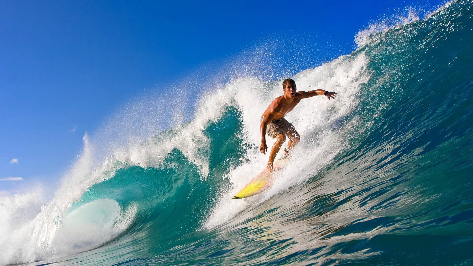 阿劳霍的加冕礼，厄瓜多尔冲垮比利时，一场定义时代的焦点之战